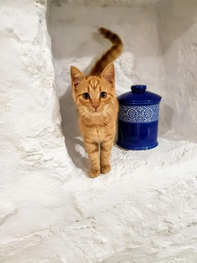 Sugar Blue Apartment Mykonos Town
